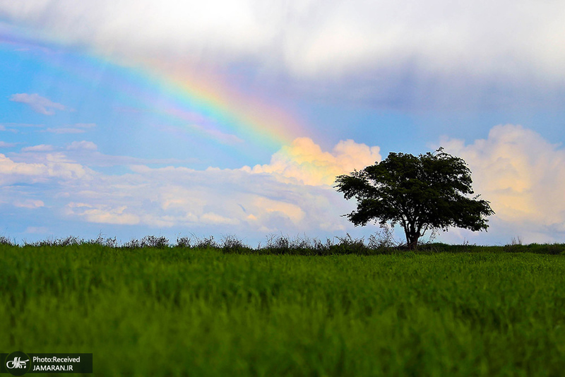 منتخب تصاویر امروز جهان- 29 خرداد
