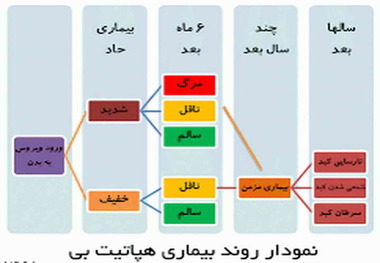 سالانه 40 مورد بیمار هپاتیتی در تربت حیدریه شناسایی می شوند