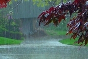 ۱۸.۵ میلیمتر بارندگی در تنگچنار مهریز ثبت شد