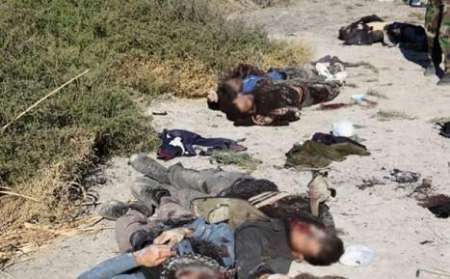 هلاکت 23 تروریست گروهک داعش در عراق