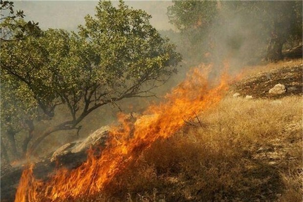 آتش باردیگر دامنگیر جنگل ابر شد