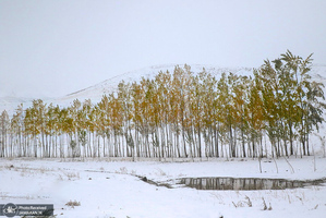 منتخب تصاویر امروز جهان- 8 آبان 1400