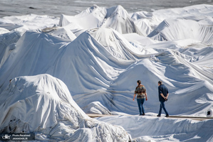 منتخب تصاویر امروز جهان- 29 تیر