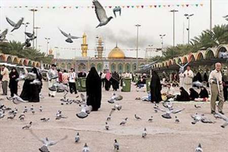 آغاز نام نویسی دور جدید زائران عتبات عالیات درالبرز