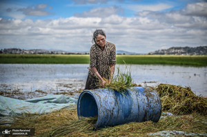 منتخب تصاویر امروز جهان - 20 فروردین 1404