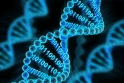 امکان ذخیره اطلاعات روی DNA