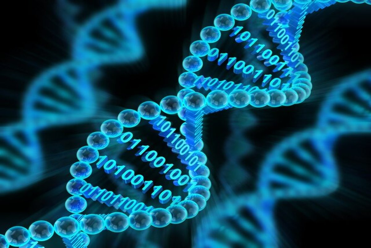 امکان ذخیره اطلاعات روی DNA