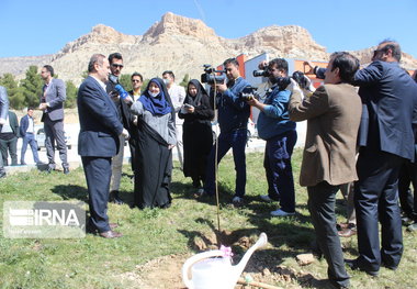 استاندار: ایلام با فاصله زیاد رتبه نخست درختکاری در کشور را دارد