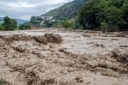 مدیرکل حفاظت محیط زیست همدان: سیلاب‌های اخیر فریاد طبیعت بود