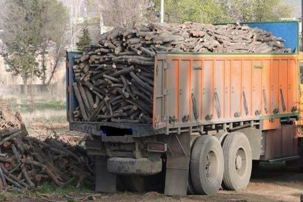 پیگرد قانونی قطع درختان جنگلی و غیرجنگلی به دستور دادستان آوج