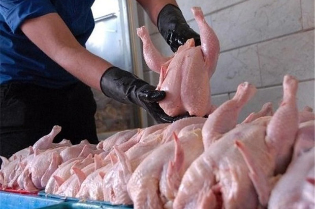 45500 تن گوشت مرغ در استان مرکزی تولید شد