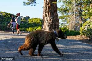 منتخب تصاویر امروز جهان- 14 تیر 1400