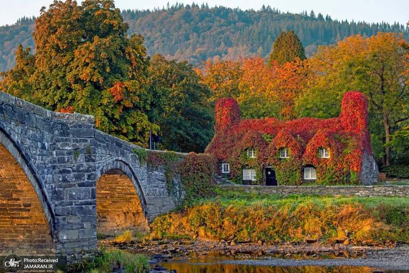 منتخب تصاویر امروز جهان- 1 مهر