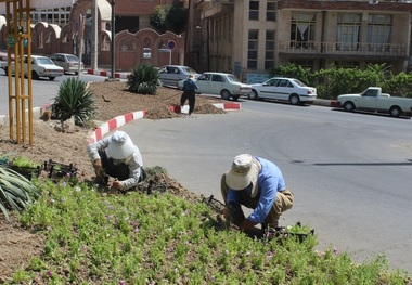 17 هزار متر مربع فضای سبز شهری سنندج گلکاری می شود