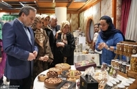 نمایشگاه خیریه انجمن دیپلماتیک بانوان  (4)
