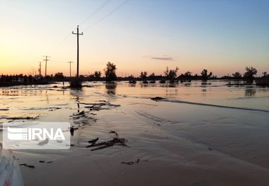 فرماندار کرمان : سیل ۱۸میلیارد تومان خسارت به بخش کشاورزی شهداد وارد کرد