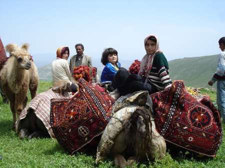 آغاز کوچ بهاره عشایر آذربایجان شرقی