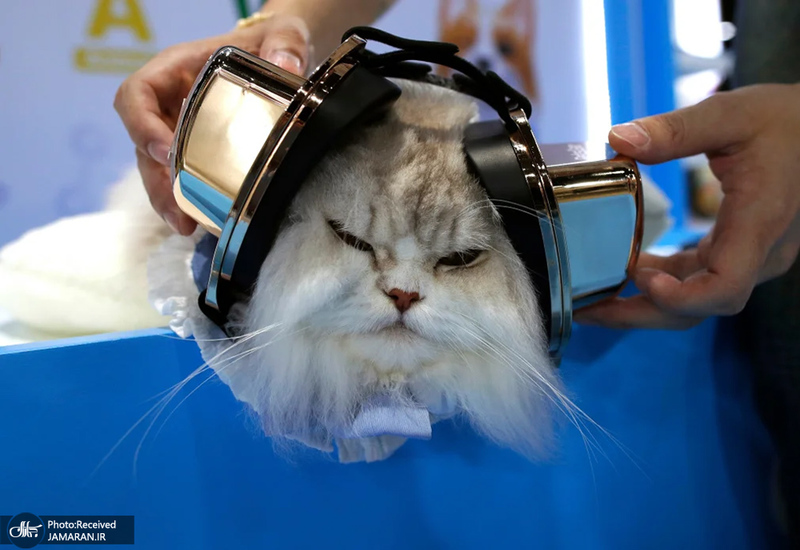 منتخب تصاویر امروز جهان - 12 و 13 اردیبهشت 1404