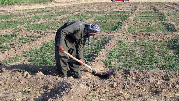 پرونده دیون کشاورزان خسارت دیده کردستان بسته شد