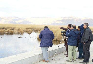 آغاز سرشماری زمستانه پرندگان آبزی در استان کردستان