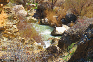 تنگه لی لی دورود