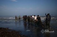 تورهای پاره، سهم صیادان از ماهیگیری پس از سیل در مازندران (3)