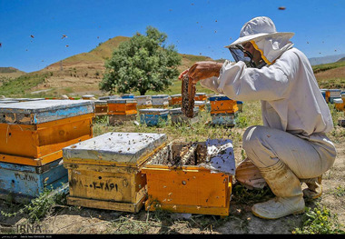 20میلیارد تسهیلات اشتغالزایی در شهرستان اندیکا پرداخت شد