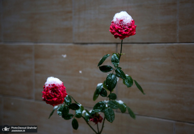 هوای تهران یخی می‌شود