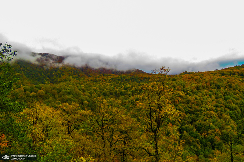 آبشار لونک دیلمان