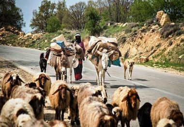 110 خانوار عشایری در چرداول تسهیلات اشتغال دریافت کردند