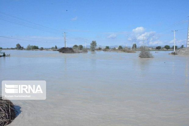 خسارت بارندگی در یزد پس از جمع بندی اطلاع رسانی می‌شود