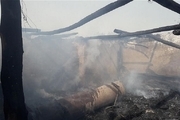یک واحد دامداری در جاده ورامین در آتش سوخت