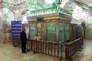 حفاظ فیزیکی در حرم امامزادگان شیراز نصب شد