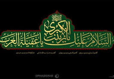 علت رحلت حضرت زینب(س) چه بود؟