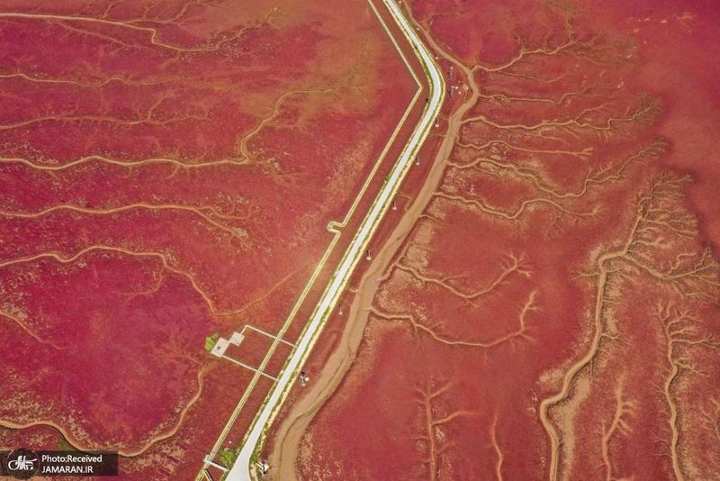 منتخب تصاویر امروز جهان- 9 شهریور 1400