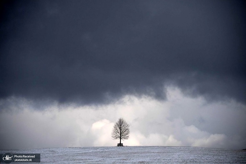 منتخب تصاویر امروز جهان- 22 آذر