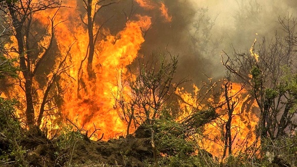 آتش به جان ۱۲۰ هکتار از اراضی شهرستان‌های کازرون و مرودشت افتاد
