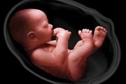 
خطر سقط جنین در این ماه بیشتر است