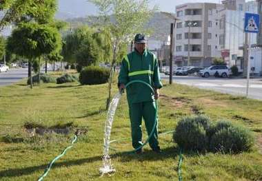 95 درصد فضای سبز یاسوج با آب غیر شرب آبیاری می‌شود