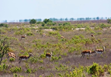 منطقه گلیل و سرانی در شیروان به عنوان ذخیره گاه'زیست کره' ثبت می شود