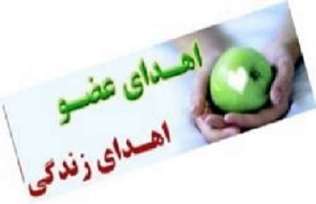 اهدای اعضای جوان مرگ مغزی در مشهد
