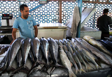 بازار ماهی‌فروشان آبادان تحت شرایطی فعالیت خود را از سر می گیرد