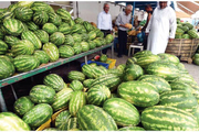 قیمت هندوانه برای شب یلدا 1400 اعلام شد: از هر کیلو 4 تا 8 هزار تومان