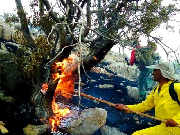 آتش سوزی جنگل های امامزاده اسماعیل(ع) اقلید مهار نشده است