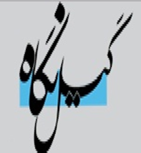 دو قطبی نفاق