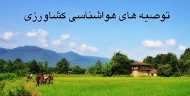 پیش بینی وزش باد شدید و بارش پراکنده باران در البرز