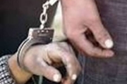 دستگیری اعضاء باند سارقان خودرو با 21فقره سر قت در البرز