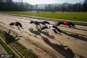 منتخب تصاویر امروز جهان - 24 و 25 اسفند 1403