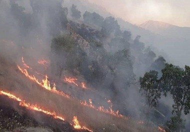  چهار مورد از آتش‌سوزی‌ها در تهران عمدی بود / عاملان دستگیر شدند