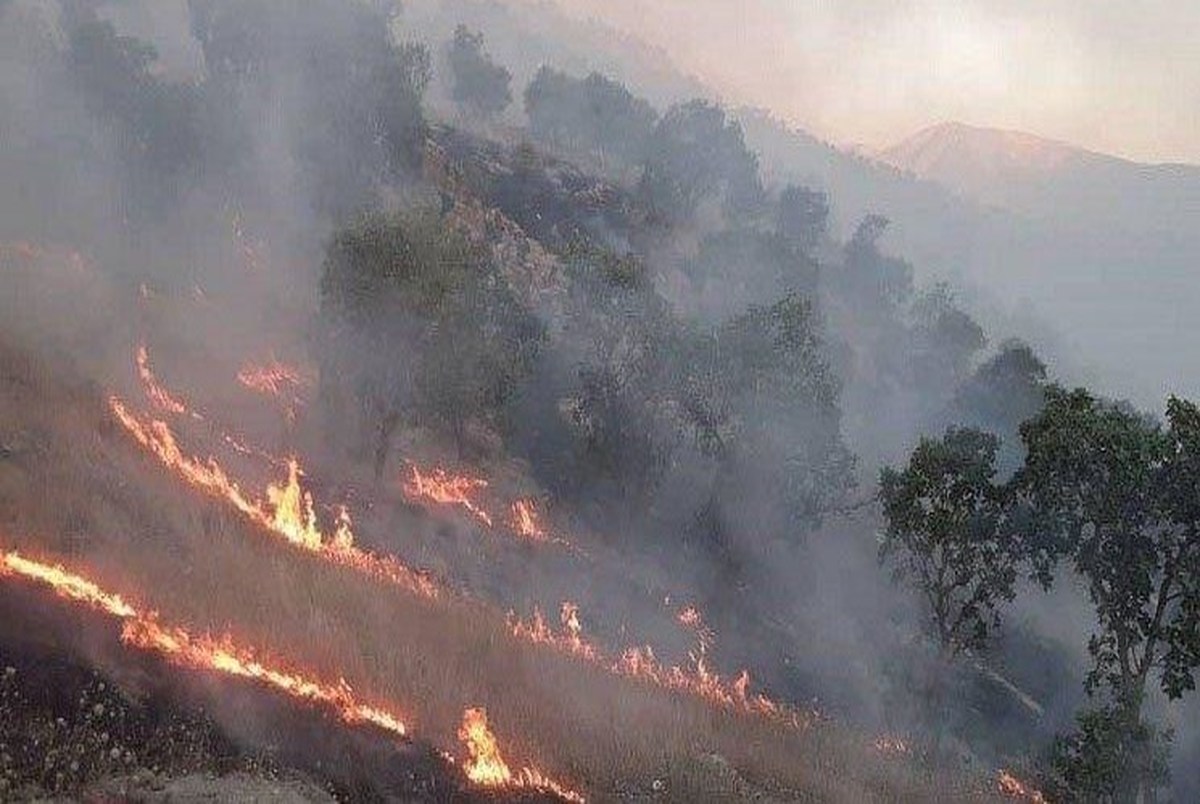 یک پارک جنگلی در جنوب تهران آتش گرفت